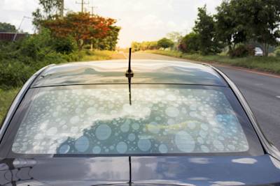 The Ultimate Guide to Preventing Window Tint Bubbles