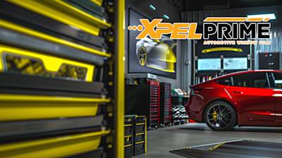 Everything You Need to Know About Xpel Tint